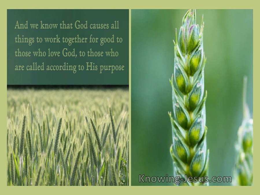 Romans 8:28 All Things Work Together For Good (yellow)